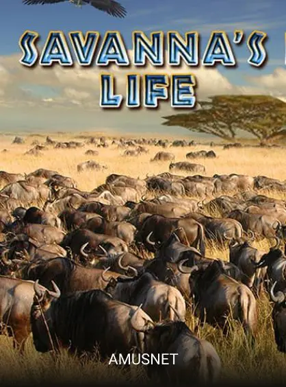Savanna's Life