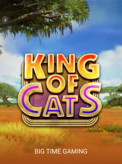 King of Cats