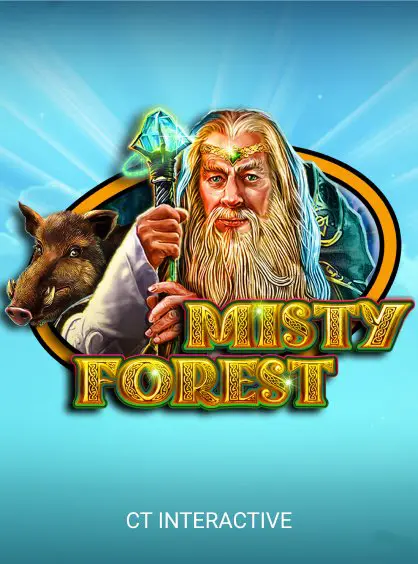 Misty Forest