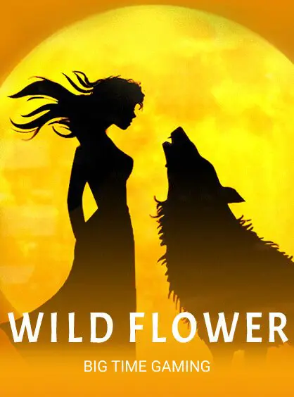 Wildflower