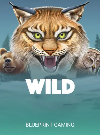 Multi Wild